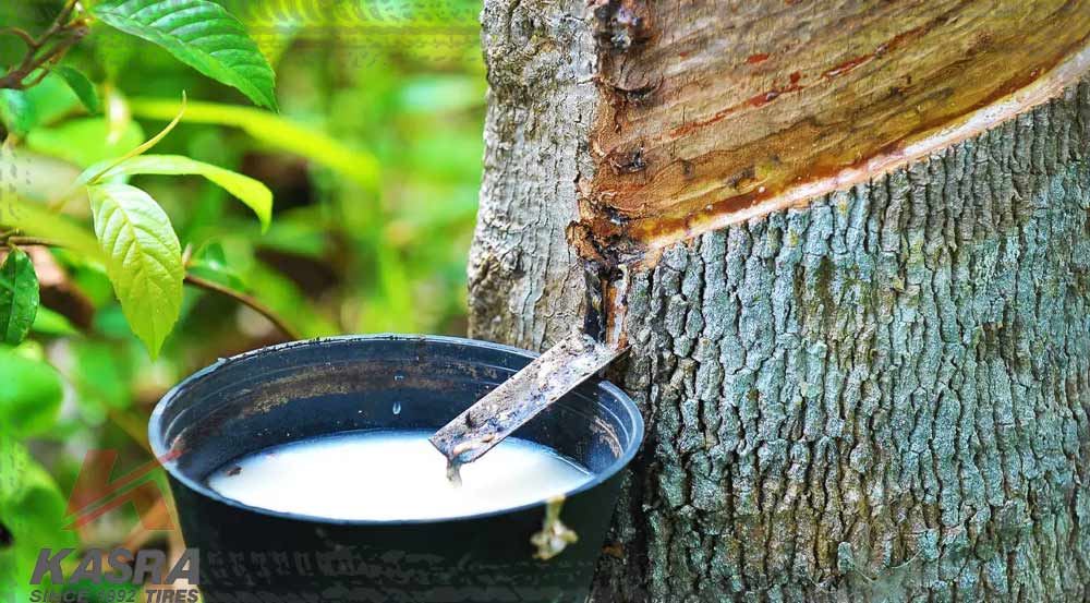 کائوچوی طبیعی از مواد اولیه تولید لاستیک خودرو