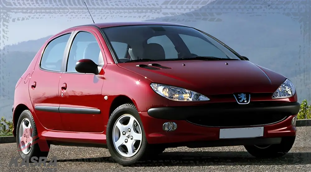 معرفی جامع انواع تیپ های 206 مثل تیپ 6