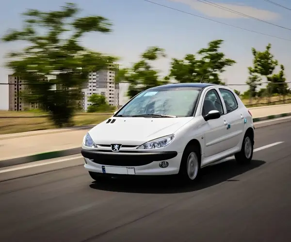 معرفی جامع انواع تیپ های 206